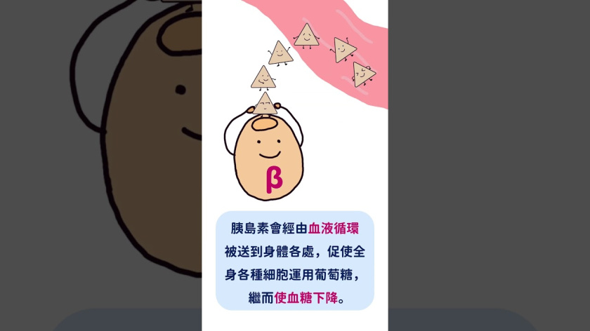 Embedded thumbnail