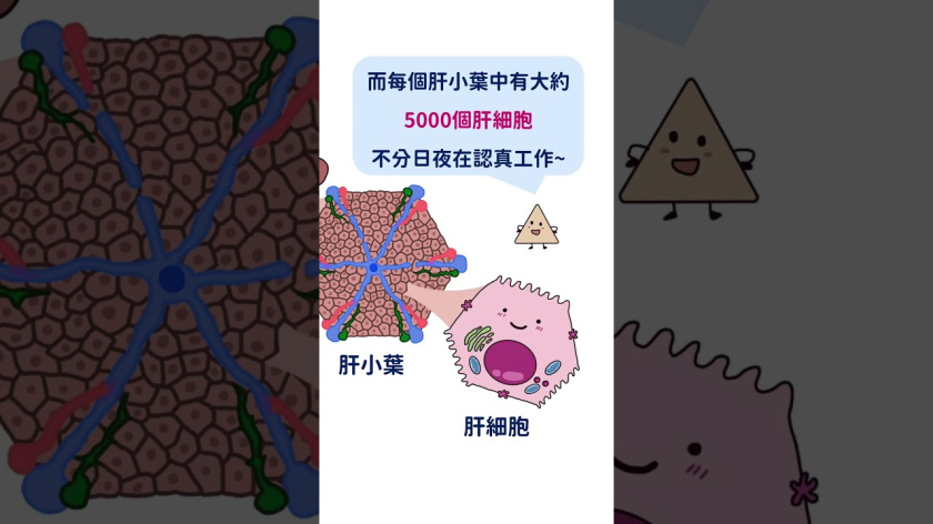 Embedded thumbnail