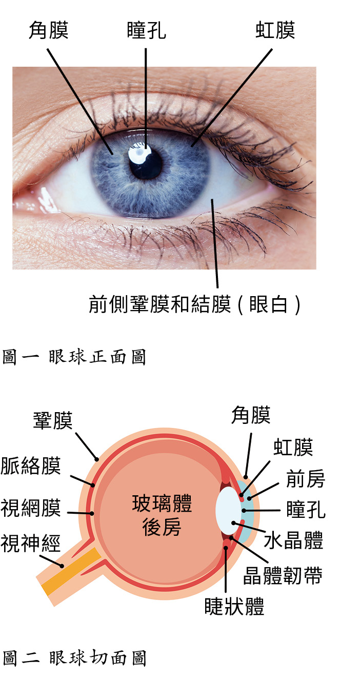 p.8-1_0.jpg