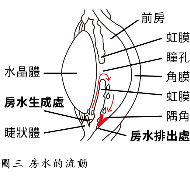 p.9.jpg