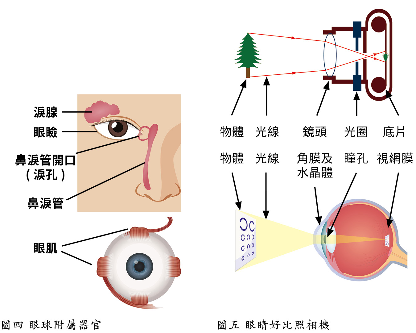 p.11-1_0.jpg